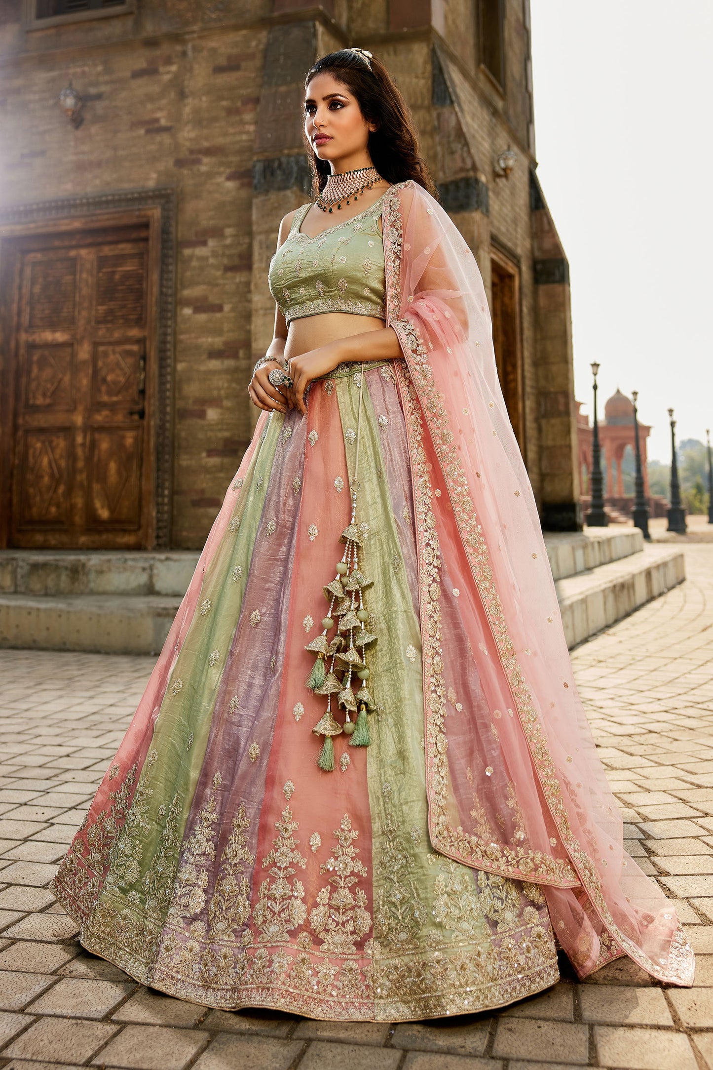 Multi colour Tissue Sequins embroidery Lehenga choli & Dupatta
