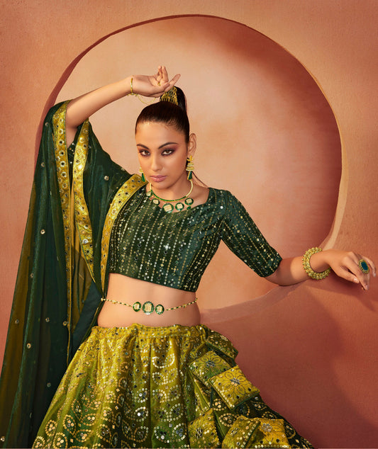 Green Shaded Velvet Sequence Work Lehenga