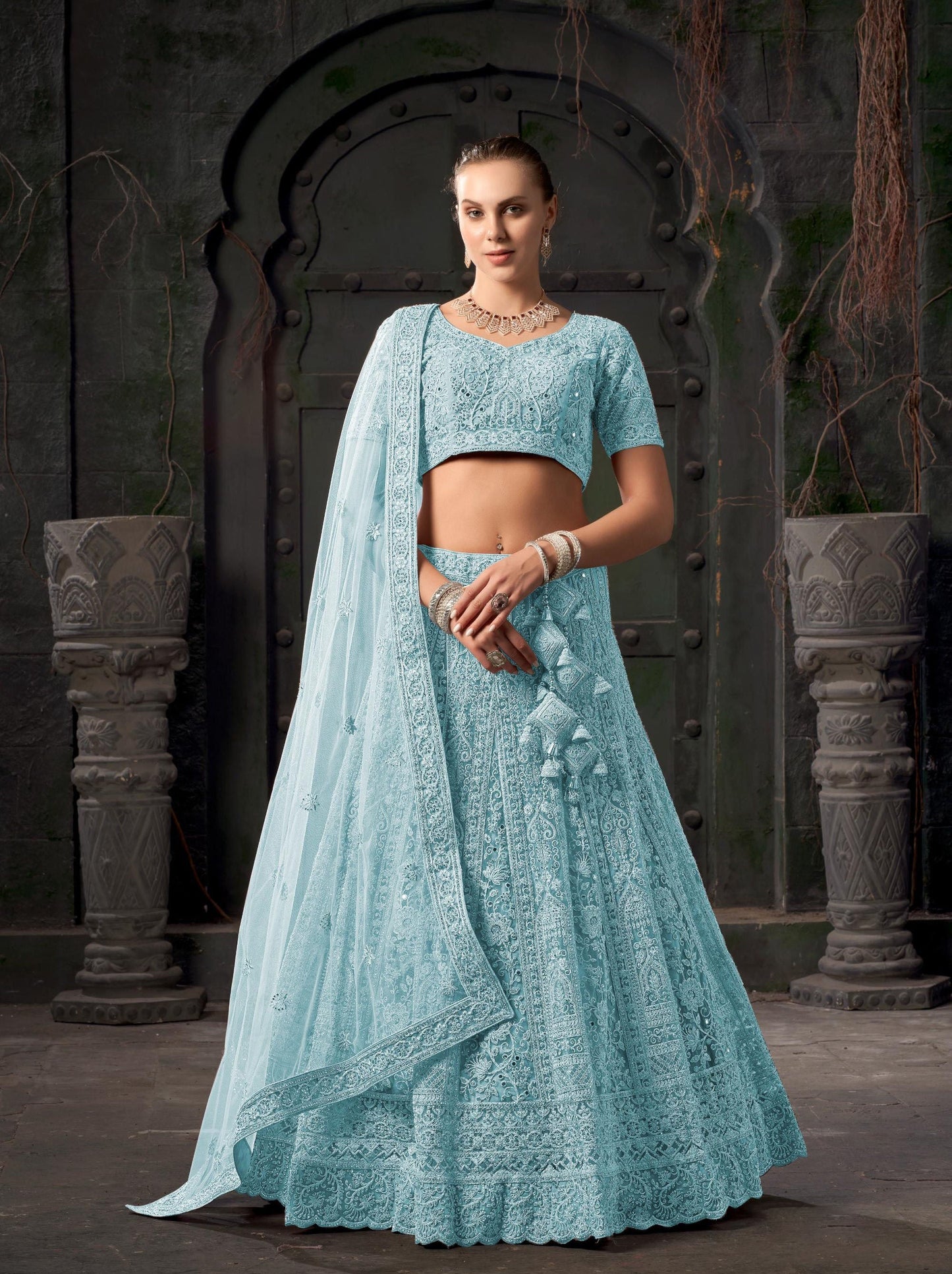 Sky Blue Zarkan Embroidery Net Party Wear Lehenga