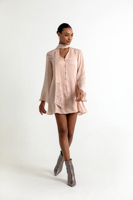 Aubrielle Organza Dress in Peach Dust