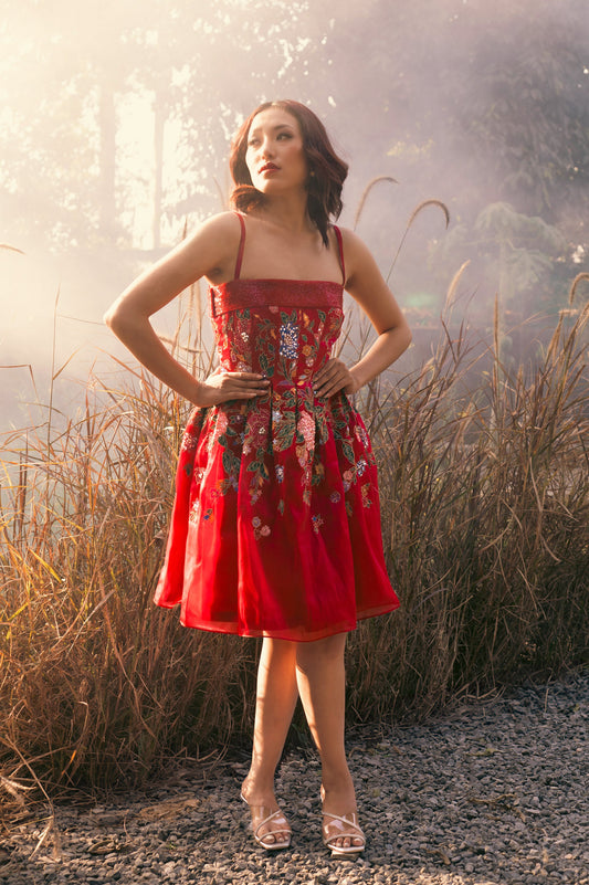 Zinnia Red Satin & Organza Mini Party Wear Dress