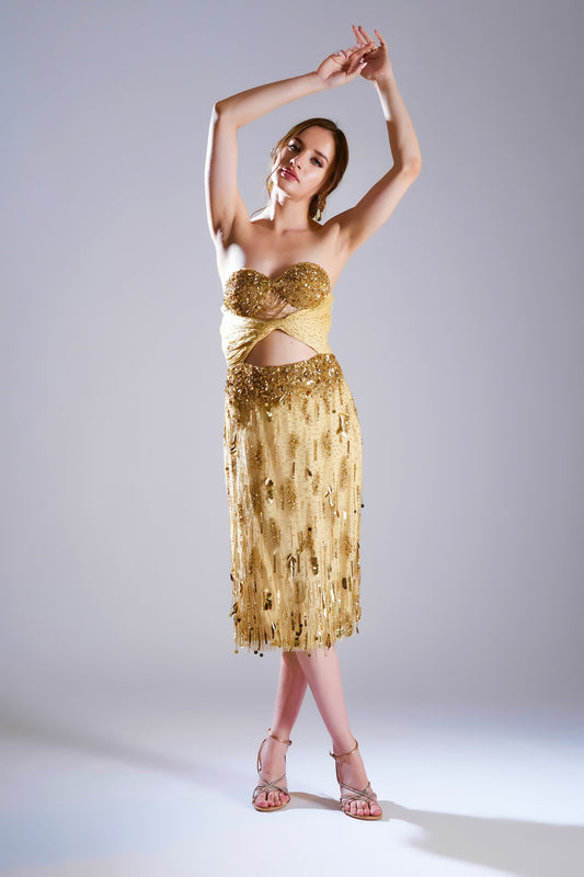 Aulyn seraph Golden Tulle Midi Dress