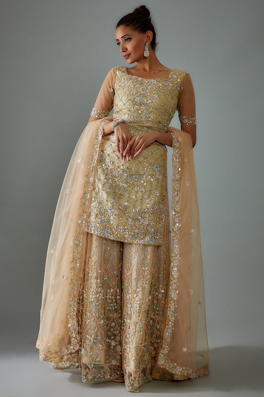 gold net embroidered sharara set