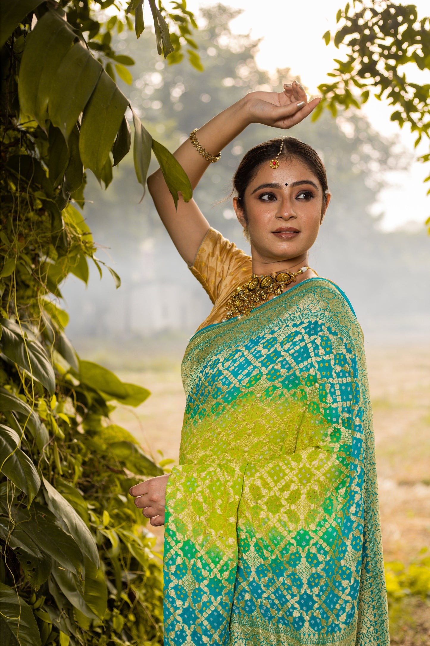 Lime Green Saree Georgette Silk Bandhani