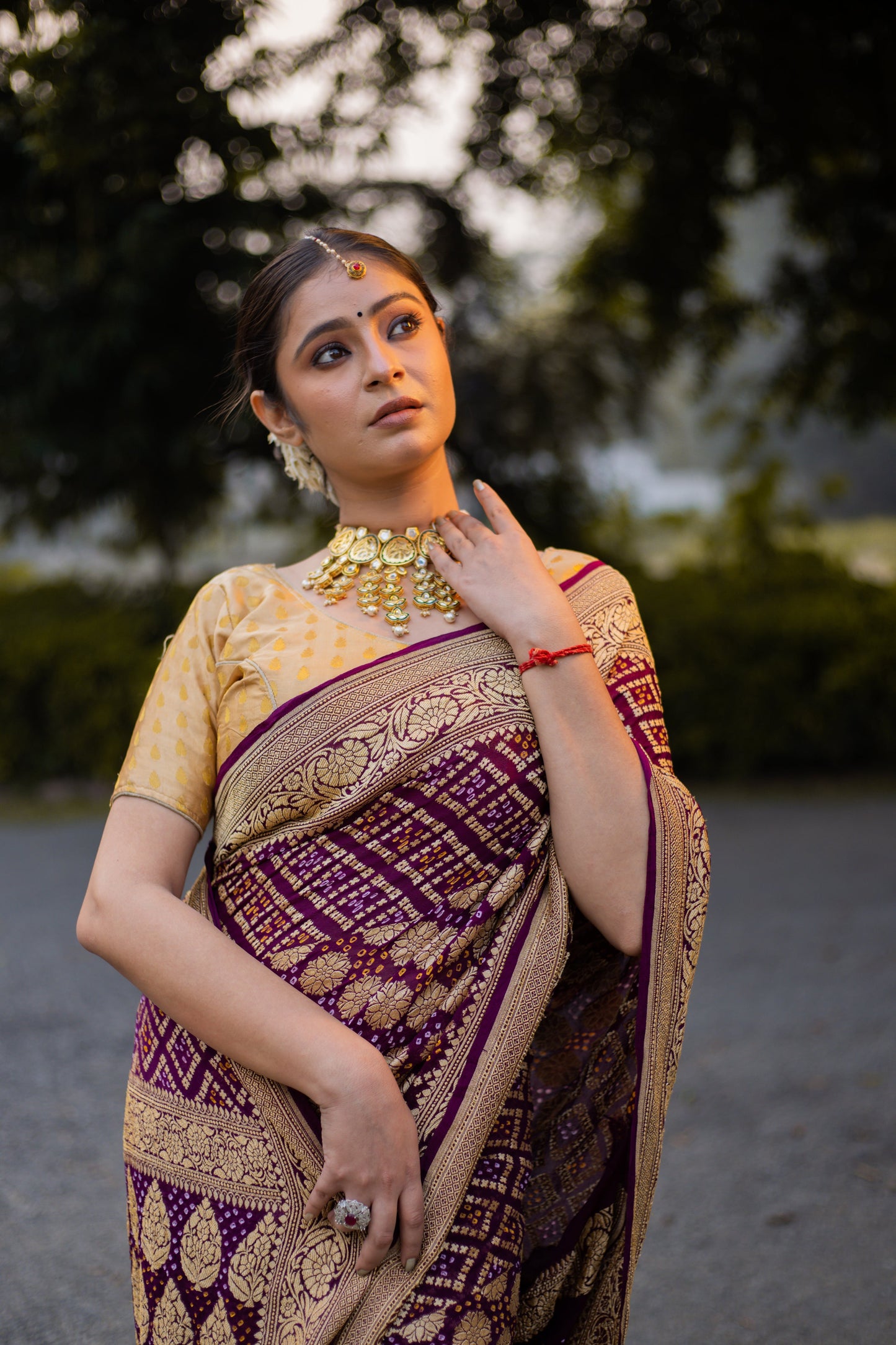 Brown Saree Georgette Silk Bandhani
