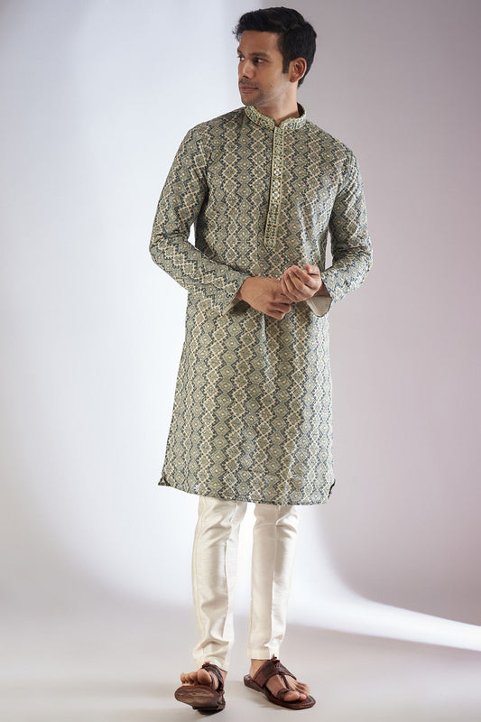 Green Silk Printed & Embroidered Kurta Set