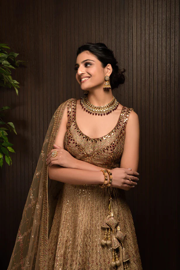 Light Brown Color Sequence Embroidery Georgette Lehenga