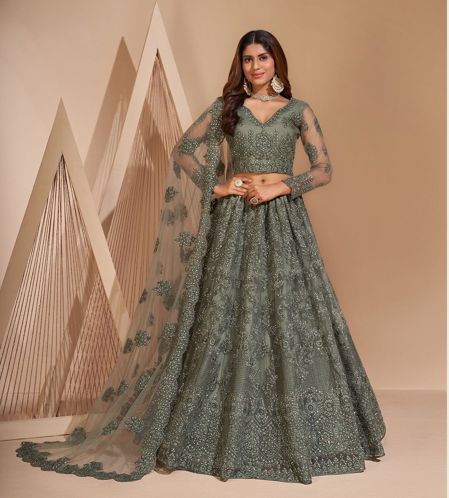 Deep Grey Resham Embroidered Net Lehenga