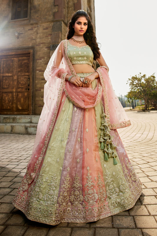 Multi colour Tissue Sequins embroidery Lehenga choli & Dupatta