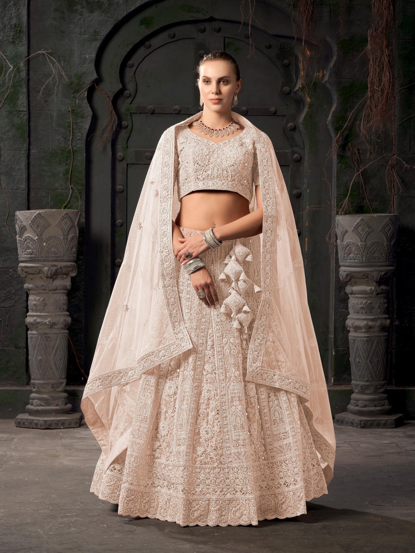 Light Brown Zarkan Embroidery Net Party Wear Lehenga