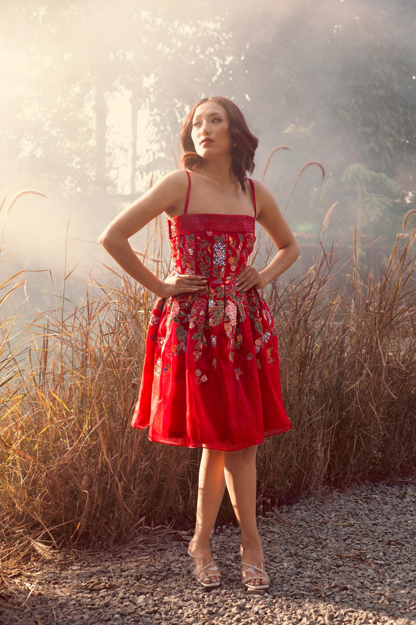 Zinnia Red Satin & Organza Mini Party Wear Dress