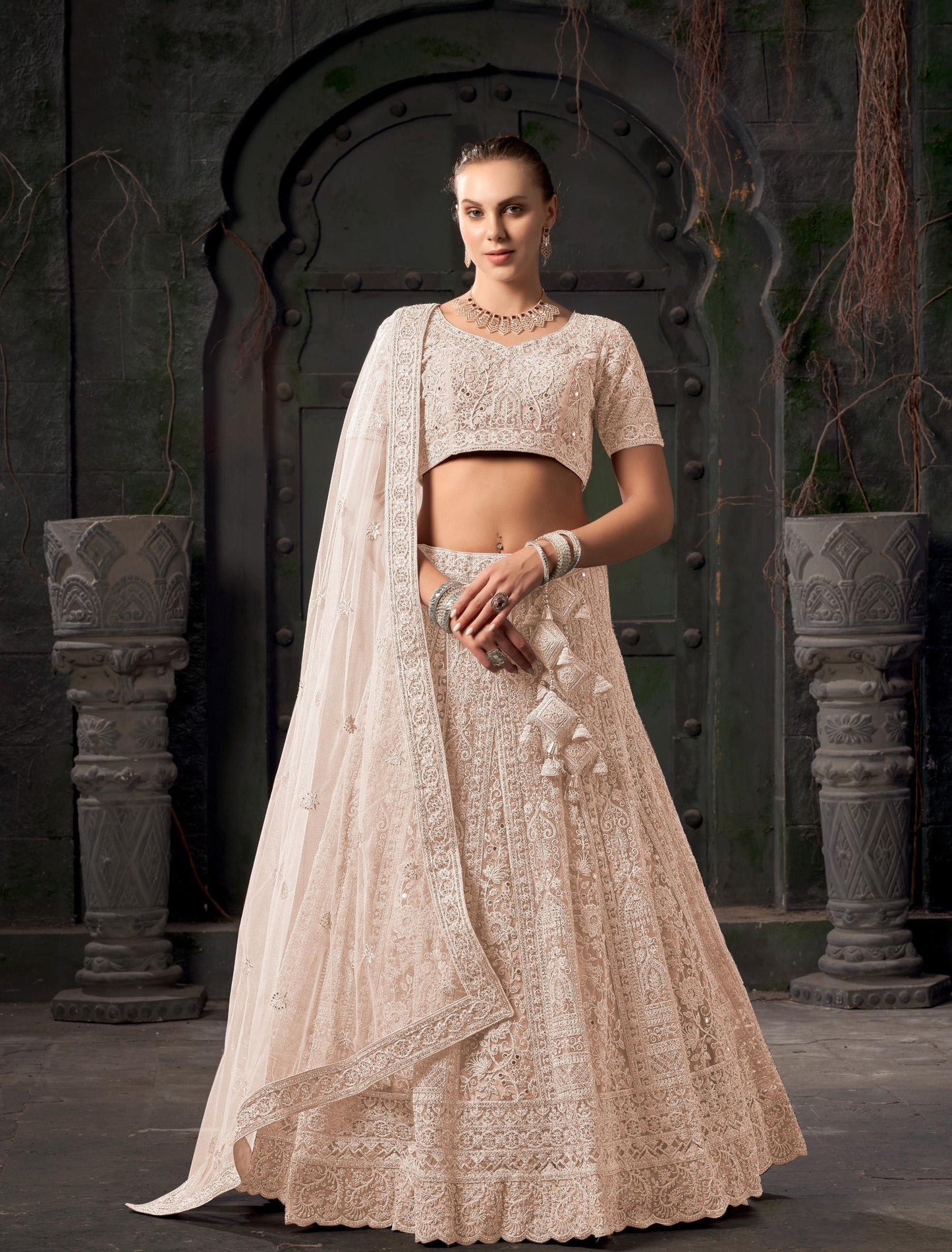 Light Brown Zarkan Embroidery Net Party Wear Lehenga