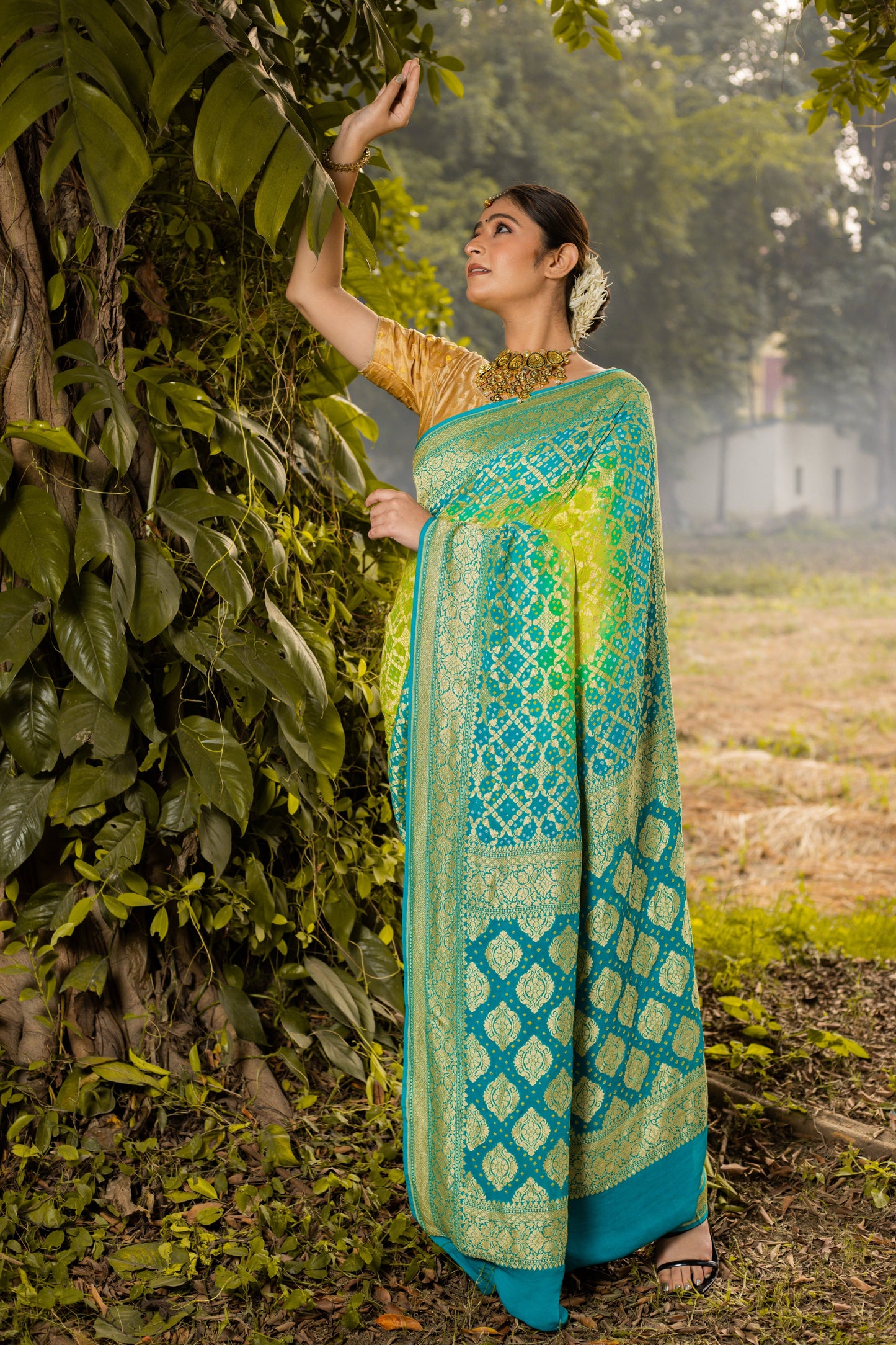 Lime Green Saree Georgette Silk Bandhani
