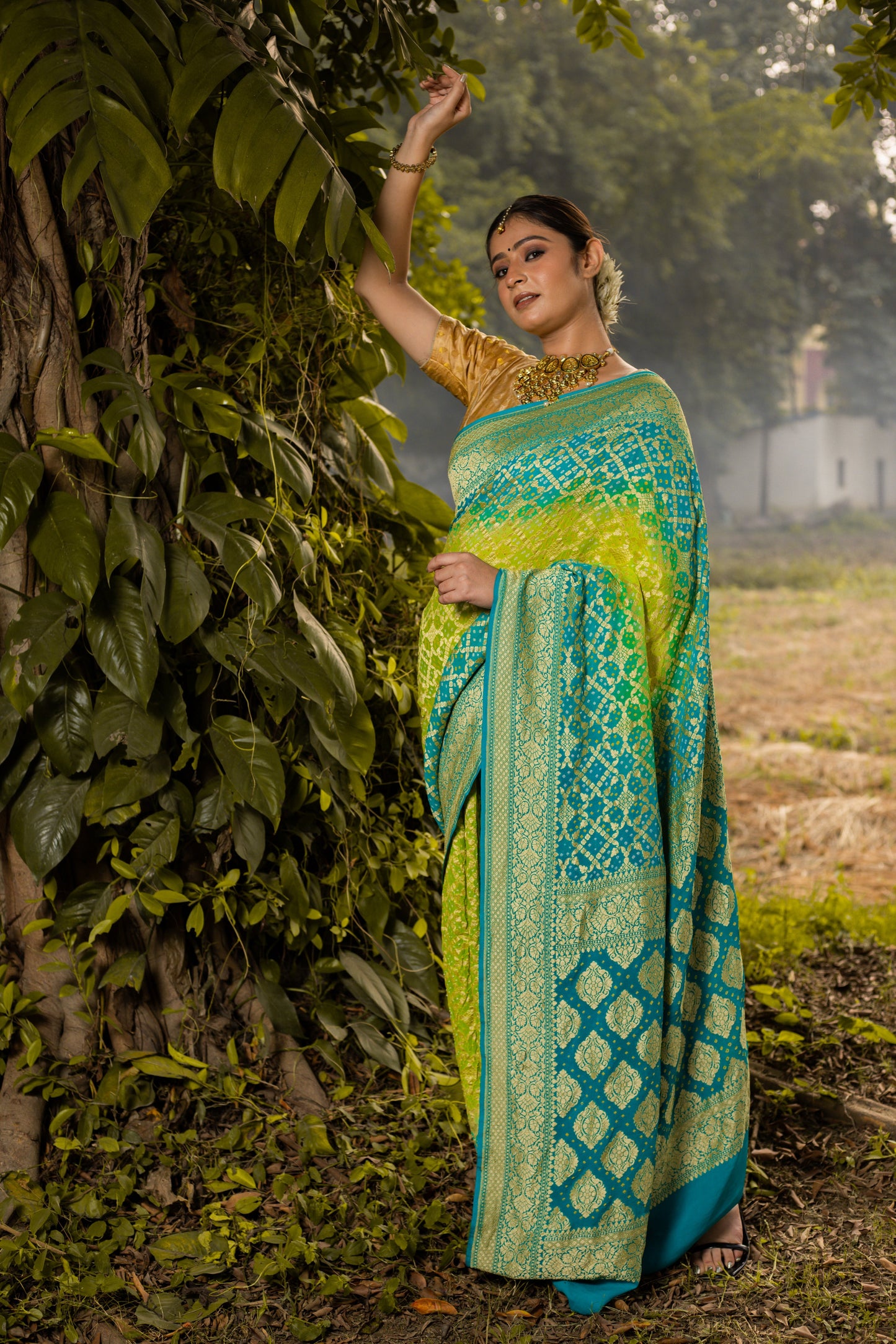 Lime Green Saree Georgette Silk Bandhani