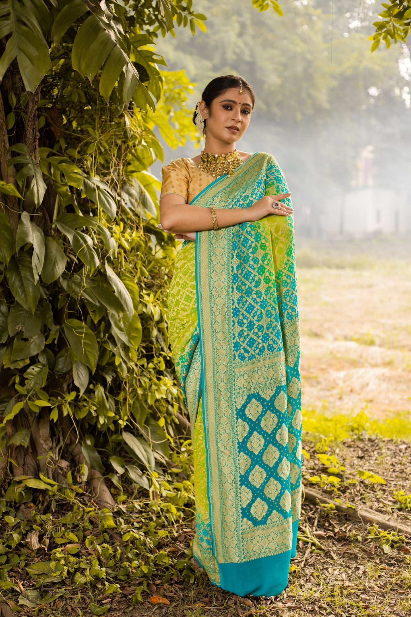 Lime Green Saree Georgette Silk Bandhani