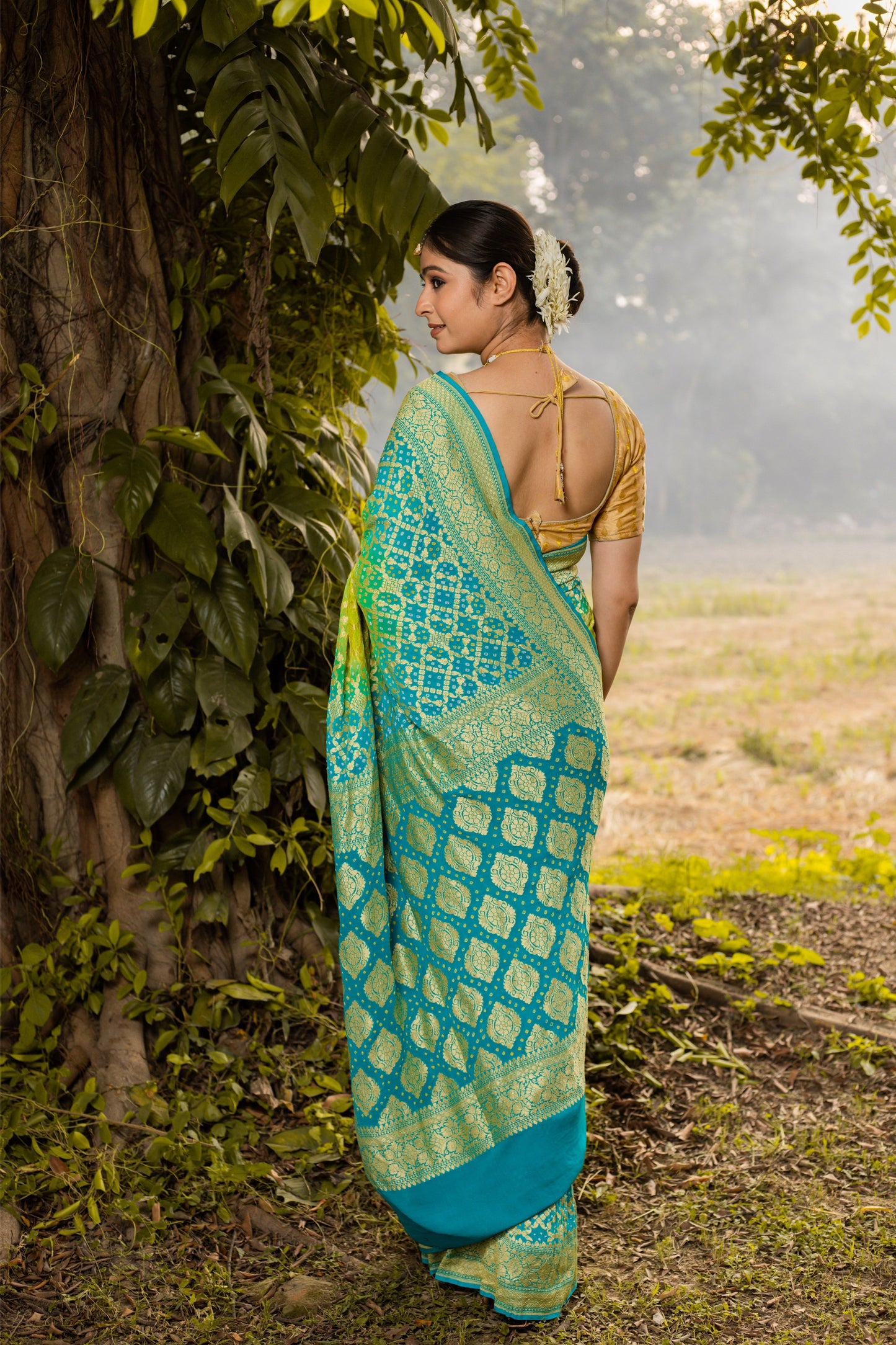 Lime Green Saree Georgette Silk Bandhani