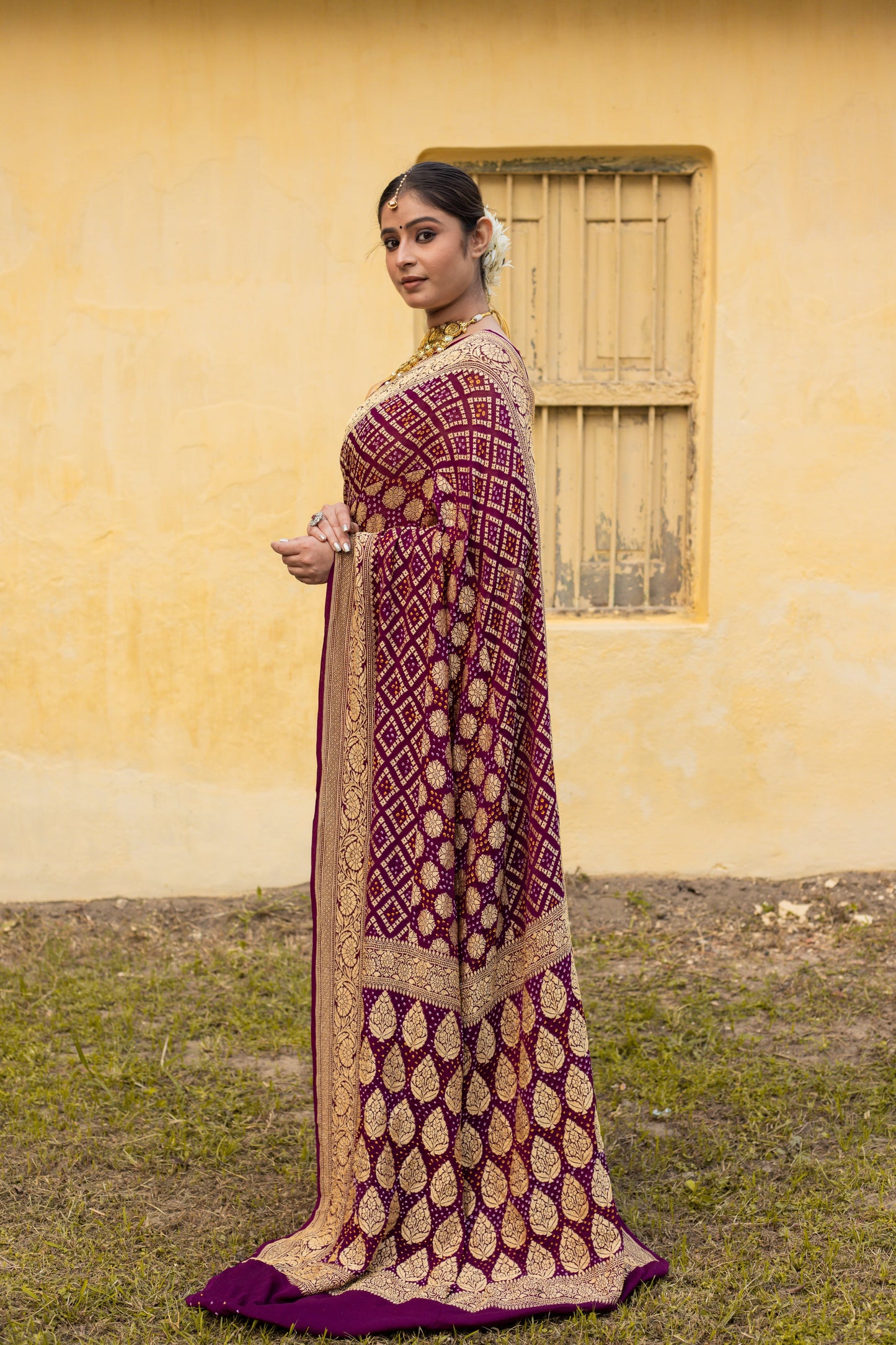 Brown Saree Georgette Silk Bandhani