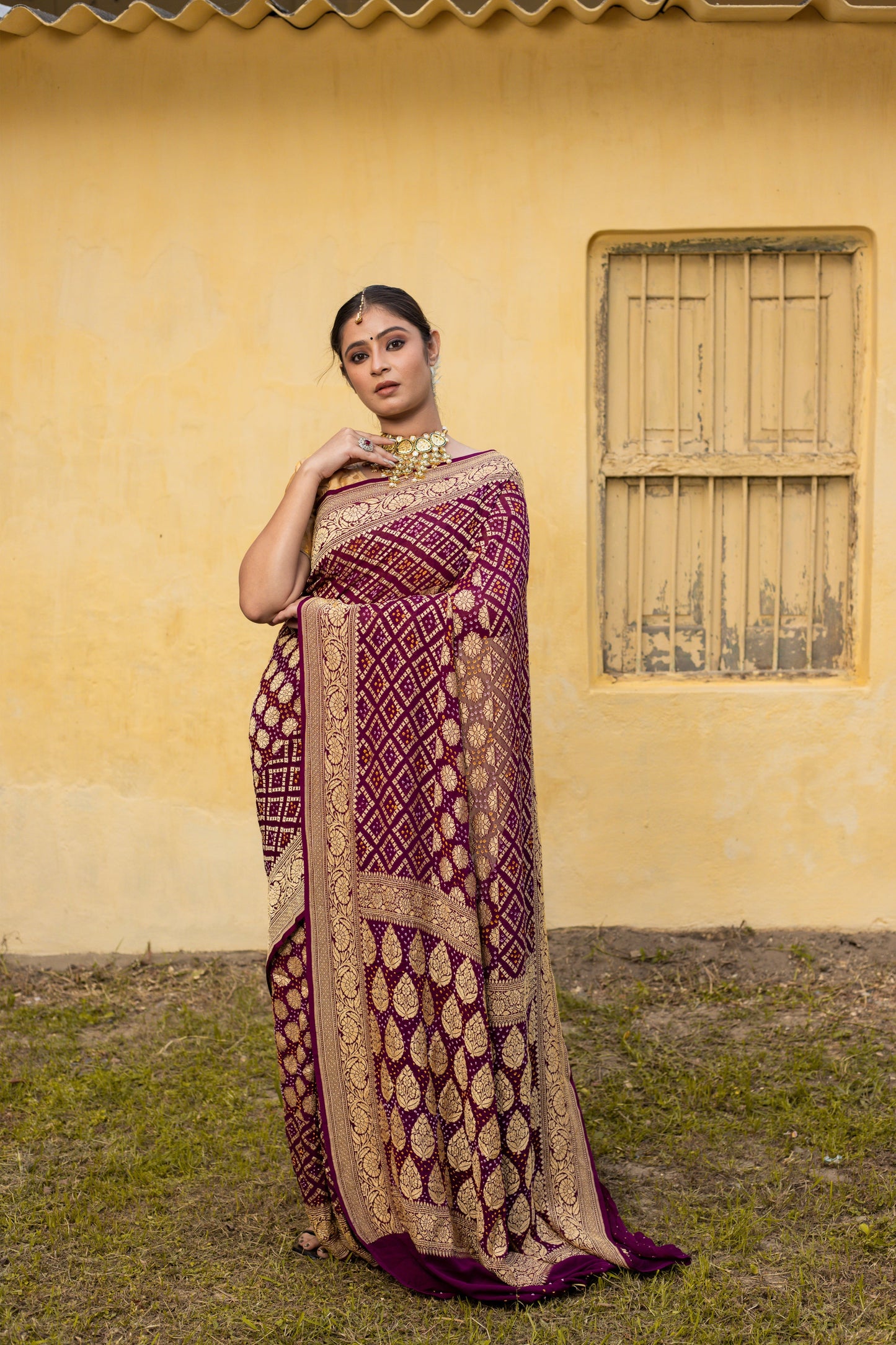 Brown Saree Georgette Silk Bandhani