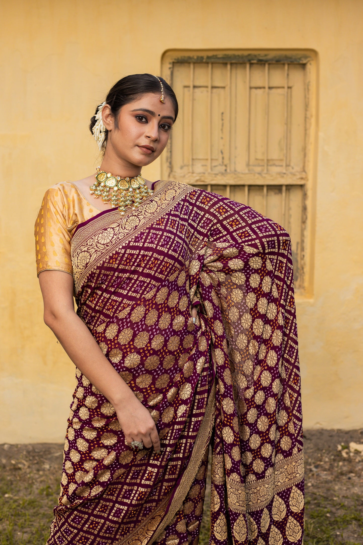 Brown Saree Georgette Silk Bandhani