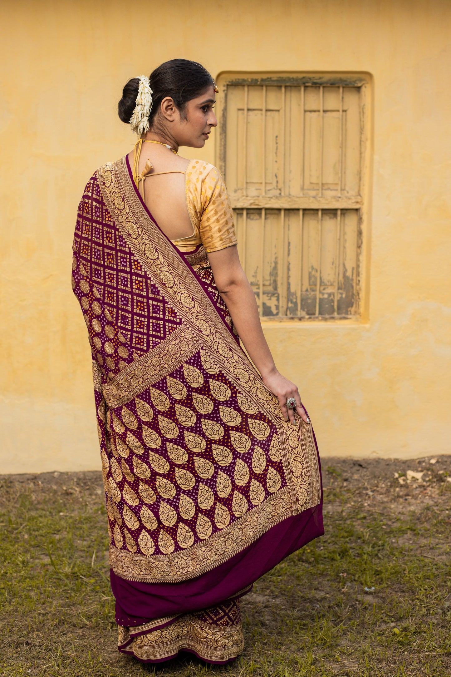 Brown Saree Georgette Silk Bandhani