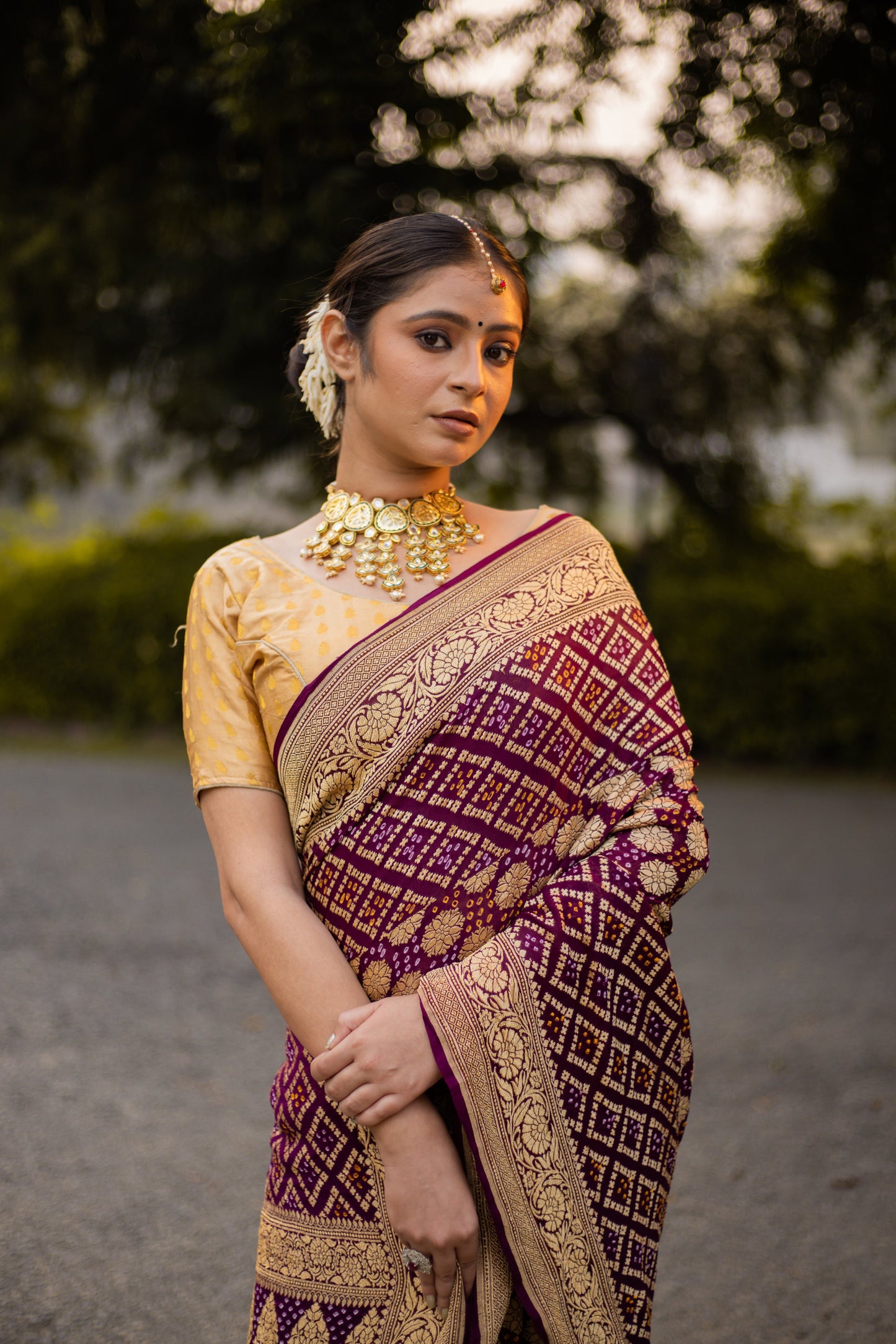 Brown Saree Georgette Silk Bandhani
