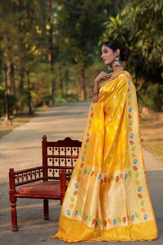Mustard Katan Pure Silk Kadwa Saree