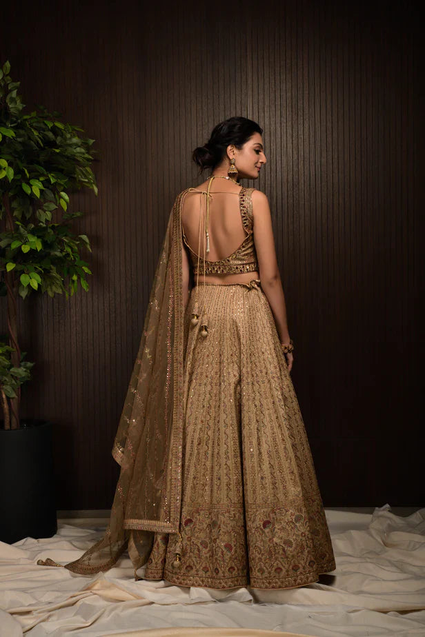 Light Brown Color Sequence Embroidery Georgette Lehenga